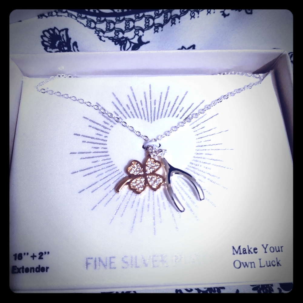 Sterling silver good luck charm necklace